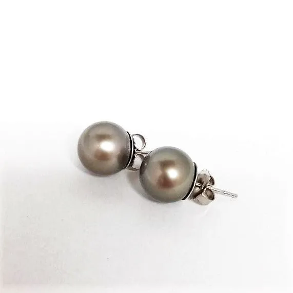 10MM Black South Sea Pearl Stud Earrings