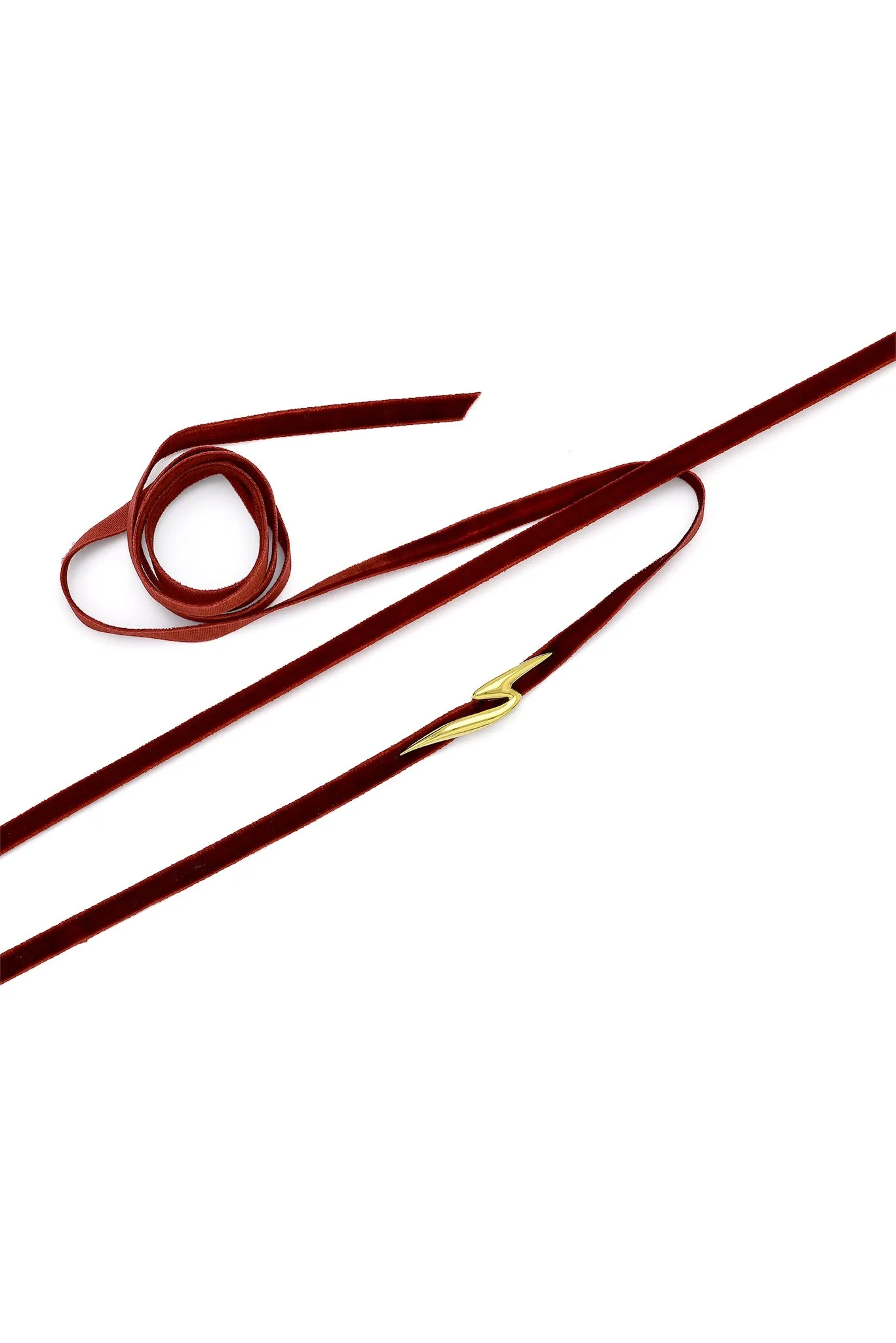 Peta Charm 2025 Ribbon Bracelet