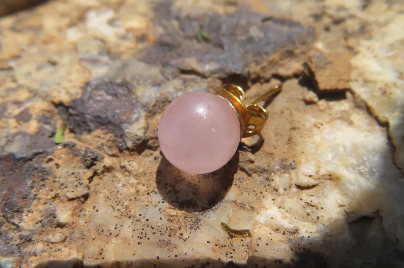 Polished Pair of Rose Quartz Stud Earrings - sold per Pair - From South Africa