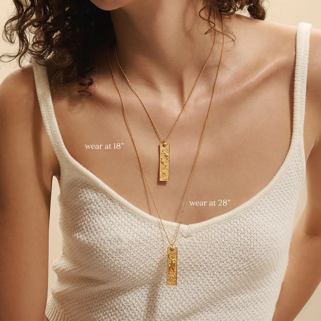Story of Capricorn Zodiac Necklace